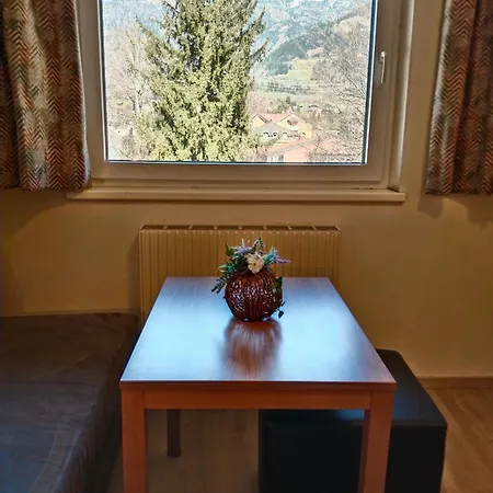 Dolomitenhotel ホテル リエンツ