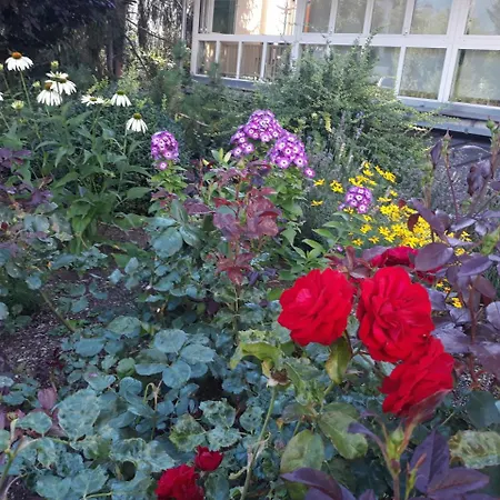 Dolomitenhotel Lienz