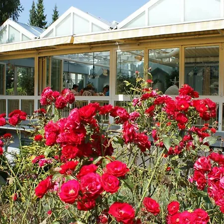 Dolomitenhotel Hotel 3*