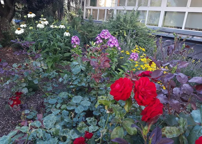 Dolomitenhotel Lienz